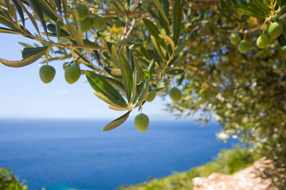 Mediterranean background