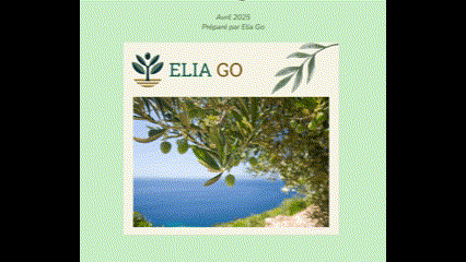 Aperçu des livrables Elia Go